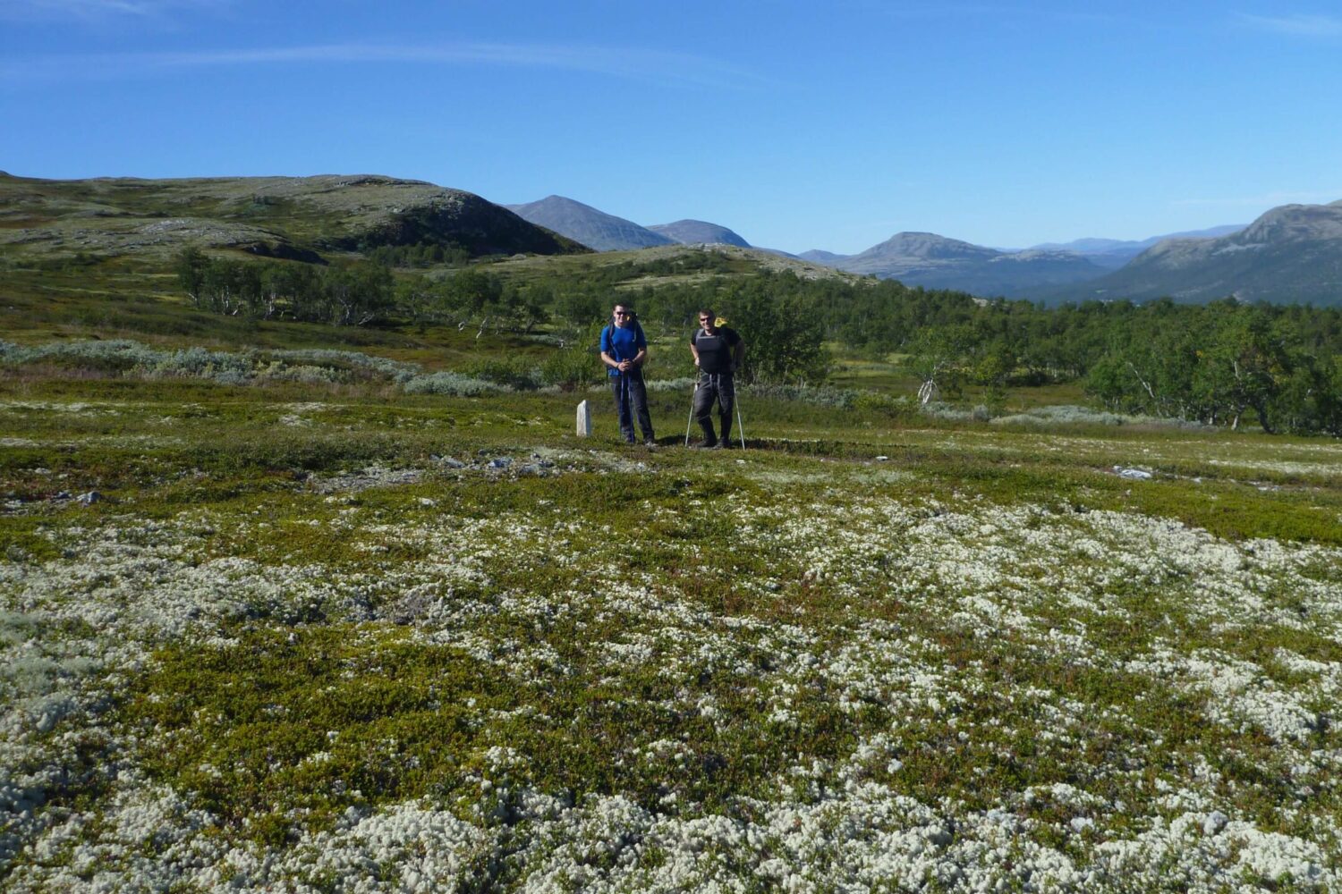 Fjeldkursusus i Norge