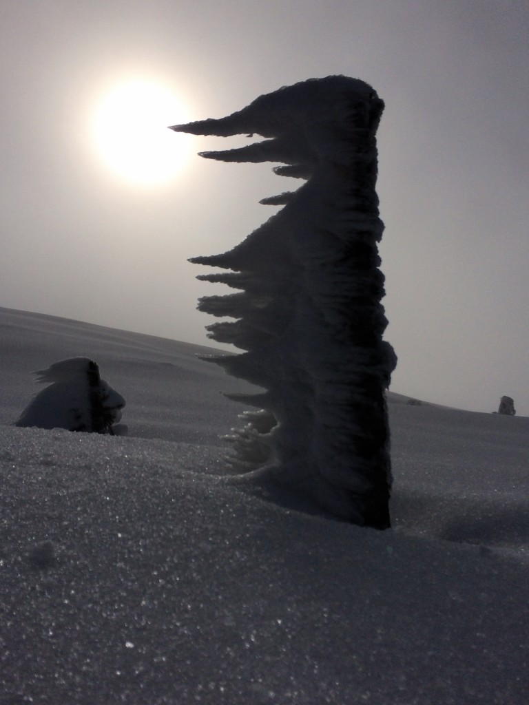 Snelandskab Lifjell