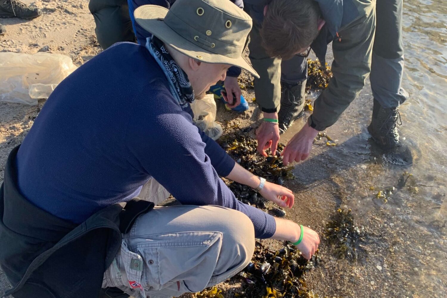 Føde fra havet