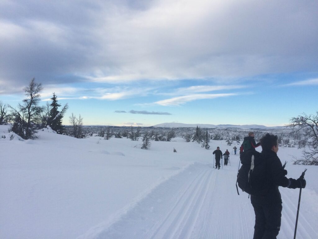 Norge vinter